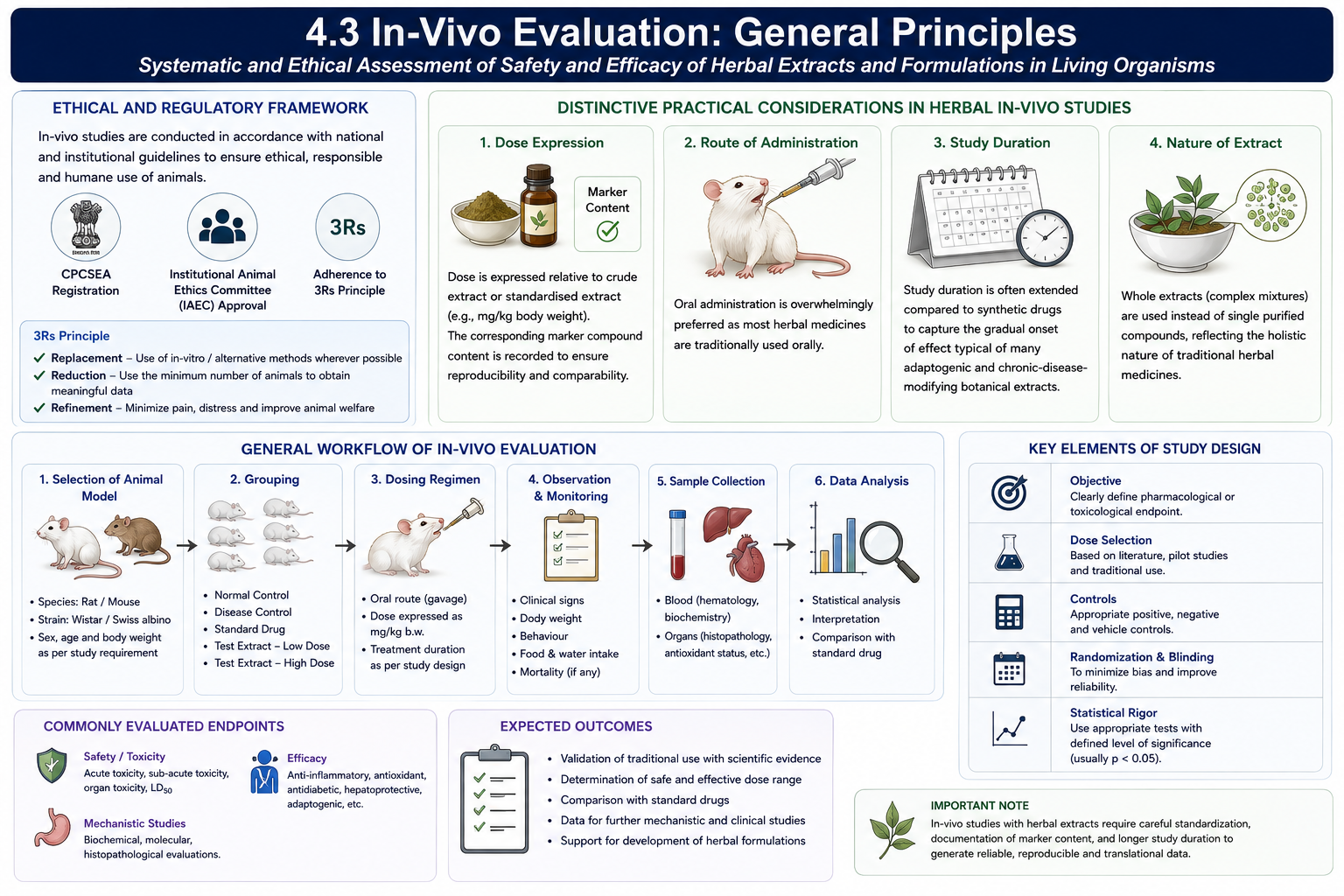 Ultrasound-assisted extraction (UAE): principle, workflow, key parameters, advantages, suitability, and comparison with maceration